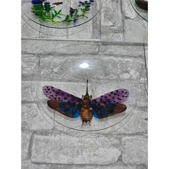 Hand painted Signed Glass‎ Salad Dessert Plates Reverse Floral Entomologist - Picture 3 of 16